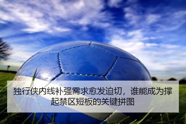 独行侠内线补强需求愈发迫切，谁能成为撑起禁区短板的关键拼图